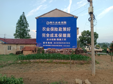 晋江墙体广告为何受追捧？